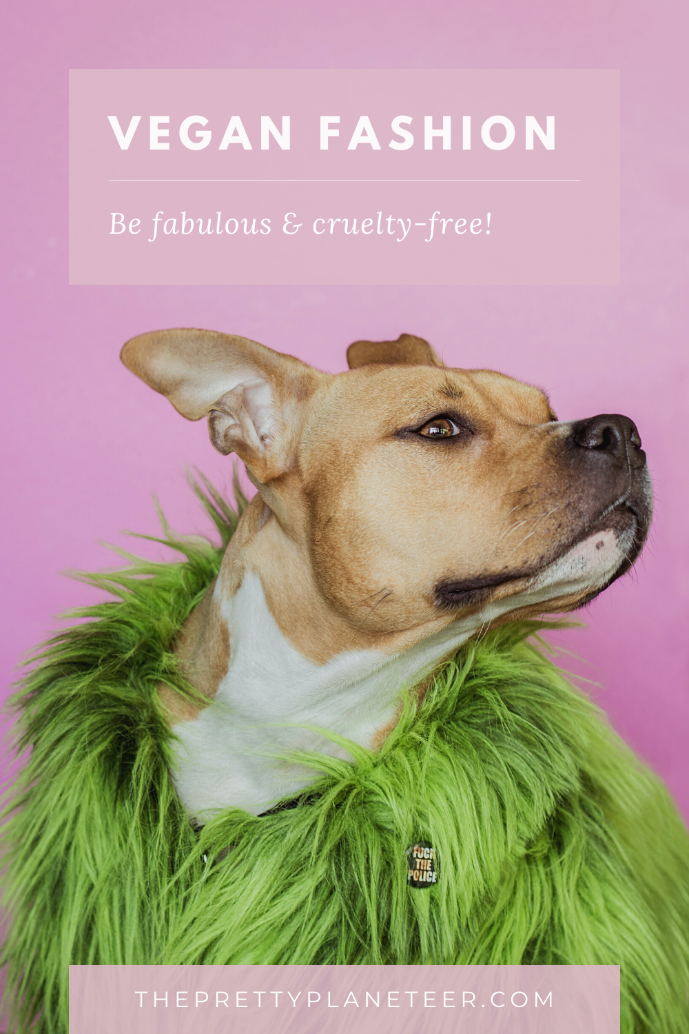 Vegan Fashion Here's Everything You Need To Know The Pretty